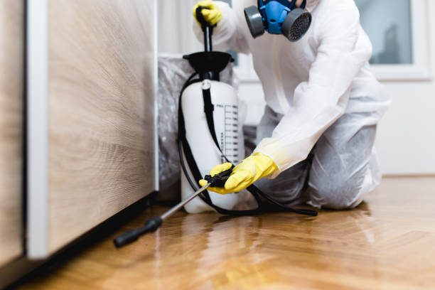 Best Termite Control Services  in Urbana, MD