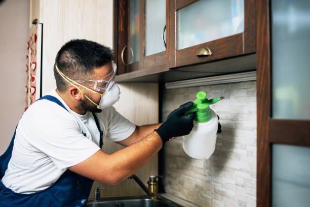  Urbana, MD Pest Control Pros
