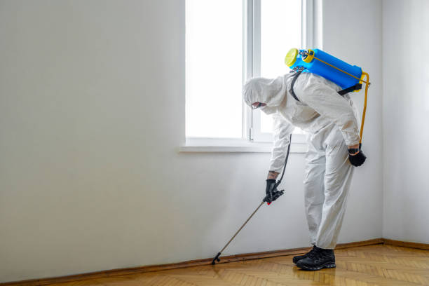 Best Wildlife Control Services  in Urbana, MD