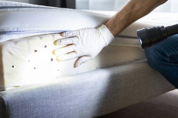 Best Pest Control Near Me  in Urbana, MD