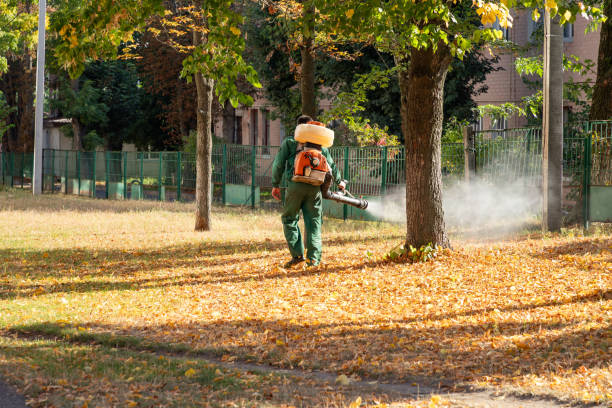 Best Flea Control Services  in Urbana, MD