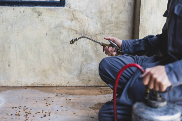 Best Commercial Pest Control Services  in Urbana, MD
