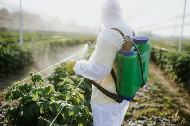 Best Pest Inspection Near Me  in Urbana, MD